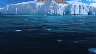 Happy Feet Movie Trailer