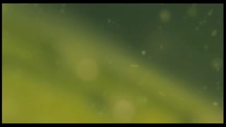 Horton Hears a Who! Movie Trailer