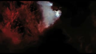 The Tree of Life Movie Trailer
