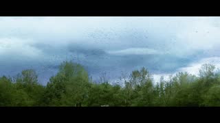 The Big Year Movie Trailer