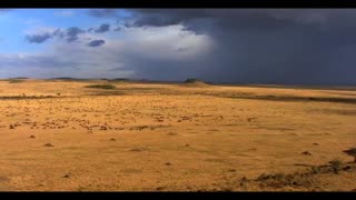 African Cats Movie Trailer