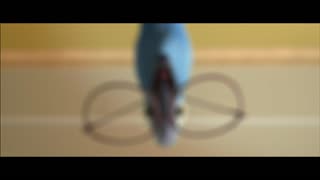 Rio Movie Trailer