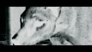 The Hunter Movie Trailer