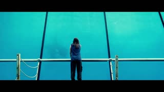 Rust and Bone Movie Trailer
