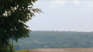Into the Storm Movie Trailer