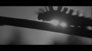 A Field in England Movie Trailer