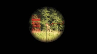 Wakefield Movie Trailer