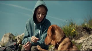 White God Movie Trailer