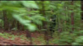 Insurgent Movie Clip