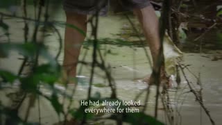 Song from the Forest Movie Trailer