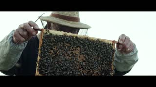 Mr. Holmes Movie Trailer