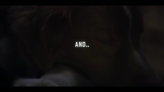 Good Boy Movie Trailer