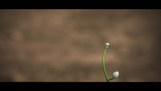 Bilal Movie Teaser