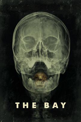 The Bay 2012 movie poster
