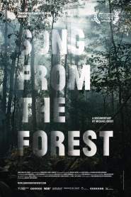 Song from the Forest 2013 movie poster