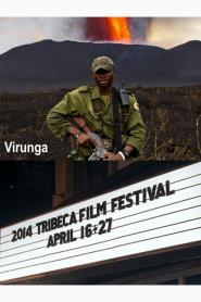 Virunga 2014 movie poster