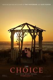 The Choice 2016 movie poster