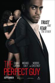 The Perfect Guy 2015 movie poster